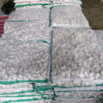 Batu Koral